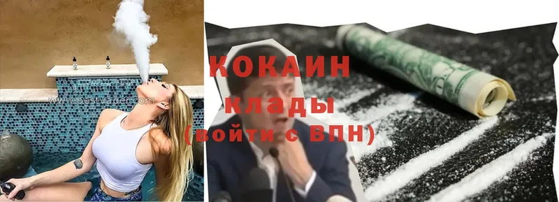 как найти наркотики  Николаевск  Cocaine Fish Scale 